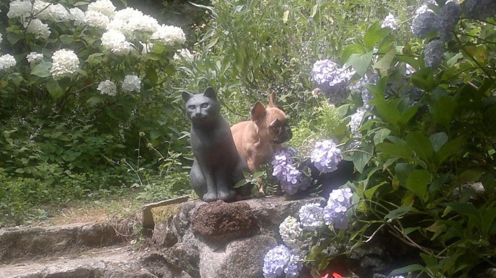 Thueyts Mas Casta Nea Bed & Breakfast エクステリア 写真
