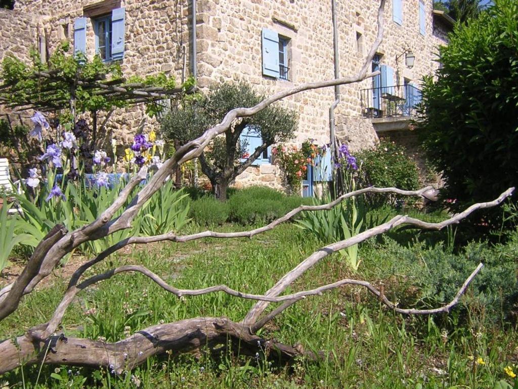 Thueyts Mas Casta Nea Bed & Breakfast エクステリア 写真